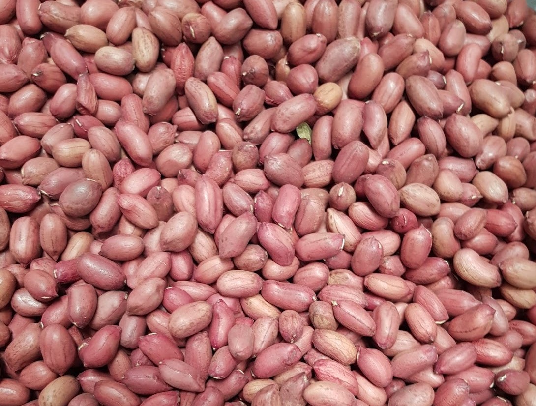 వేరుశెనగలు (Groundnuts)
