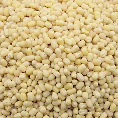 మినప్పప్పు (Urad Dal)